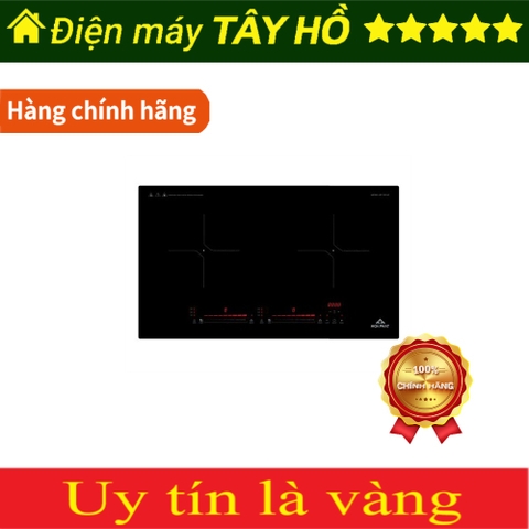 [HÀNG CHÍNH HÃNG] Bếp từ đôi Hòa Phát HPC D21A2