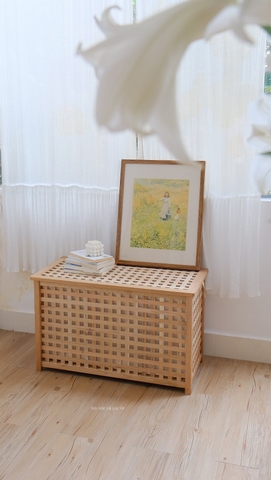 storage lưu trữ đồ cần giặt