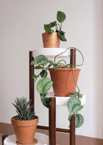 Đôn kê chậu cây 05