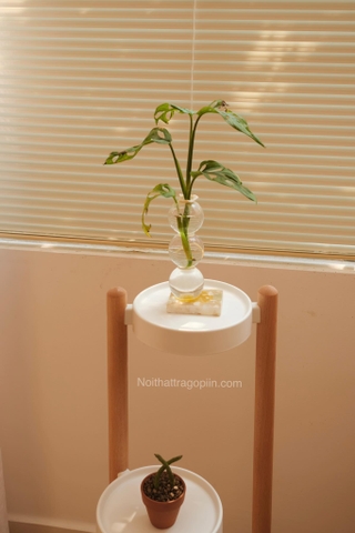 Đôn kê chậu cây 3 tầng - chân màu óc chó cao 90cm