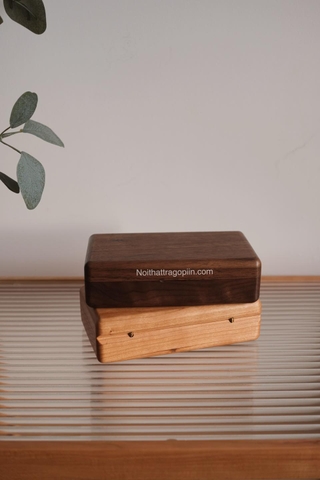 Hộp đựng trang sức 1B