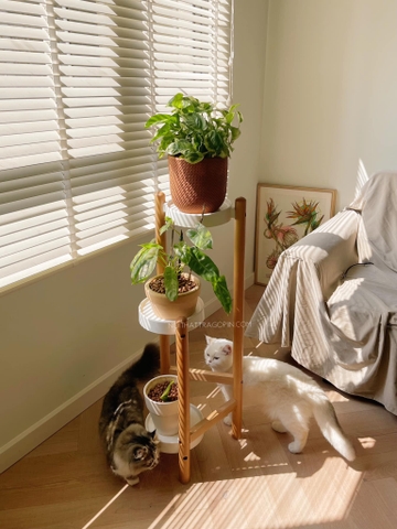 Đôn kê chậu cây 3 tầng - chân màu óc chó cao 90cm
