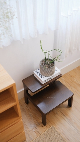 Thang gỗ/ ghế thang 04