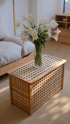 storage lưu trữ đồ cần giặt