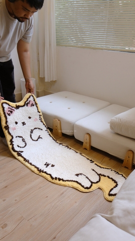 Thảm chân mèo trắng 50x150cm