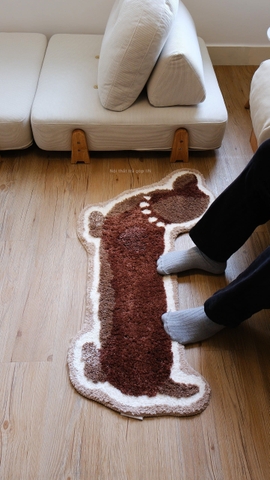 Thảm chân chó xúc xích 57x100cm