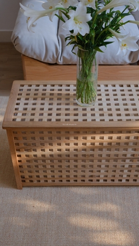 storage lưu trữ đồ cần giặt