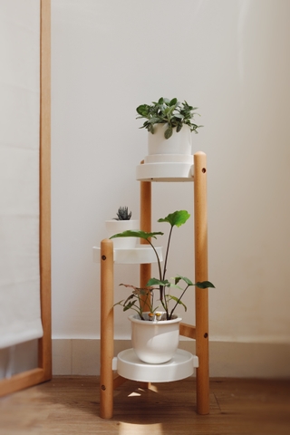 Đôn kê chậu cây 3 tầng - chân màu óc chó cao 90cm