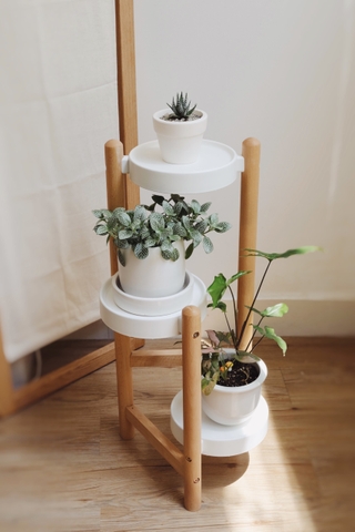 Đôn kê chậu cây 3 tầng - chân màu óc chó cao 90cm