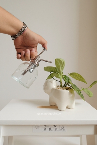 Bình tưới cây mini ikea