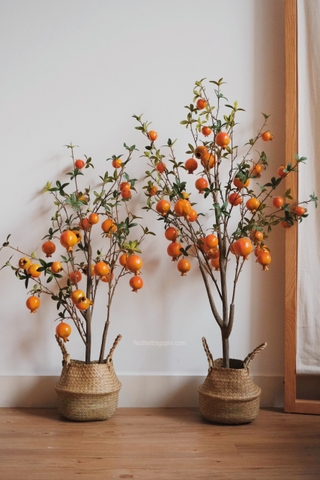 Cây lựu chậu cói - cao 120cm