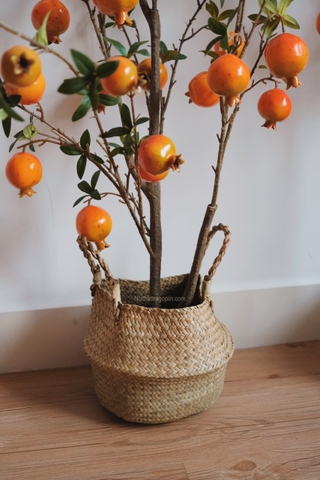 Cây lựu chậu cói - cao 120cm