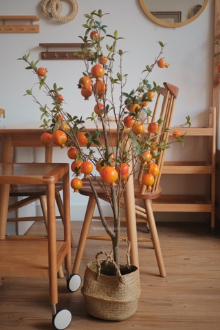 Cây lựu chậu cói - cao 120cm