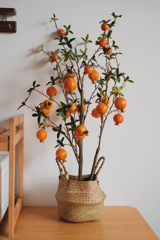 Cây lựu chậu cói - cao 120cm