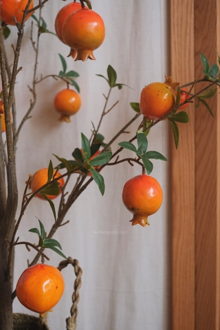 Cây lựu chậu cói - cao 120cm