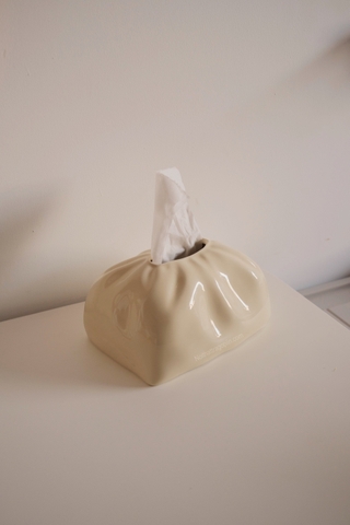 Hộp khăn giấy - hình túi