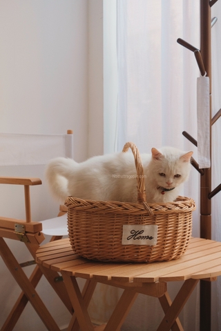 Giỏ mây Home