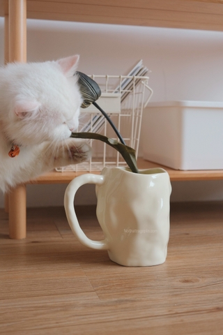 Bình gốm 12 có tay cầm