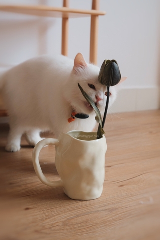 Bình gốm 12 có tay cầm