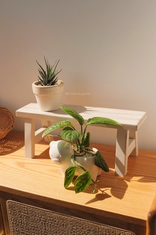 Giá đỡ hình băng ghế gỗ