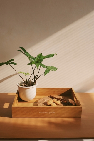 Khay gỗ 03