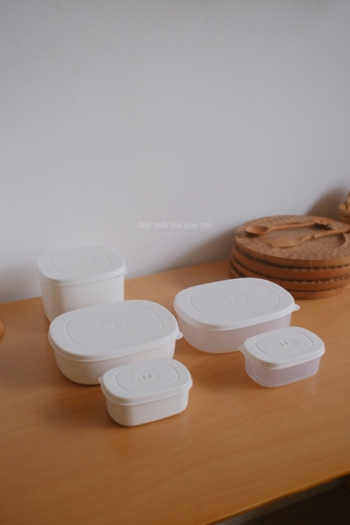 Hộp nhựa đựng thực phẩm - Lớn trắng trong