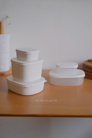 Hộp nhựa đựng thực phẩm - Lớn trắng trong