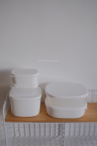 Hộp nhựa đựng thực phẩm - Lớn trắng trong