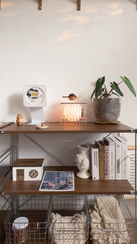 Kệ đứng màu óc chó khung inox