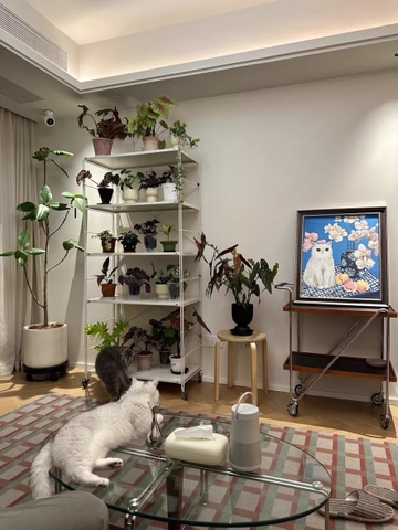 Kệ đứng full trắng