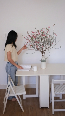 Bộ bàn ăn gấp gọn