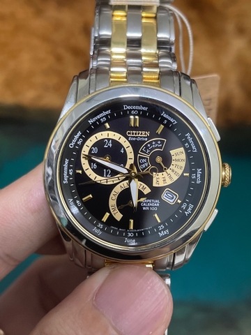 Citizen Eco Drive Perpetual Calendar BL8004-53E