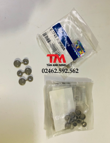 Nút bịt trần xe county