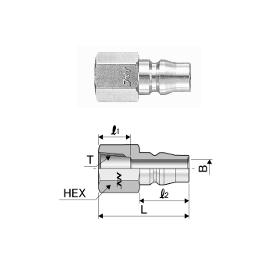 Khớp nối đầu đực ren trong 21PF