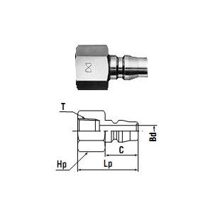 Khớp nối đầu đực ren trong 20PF