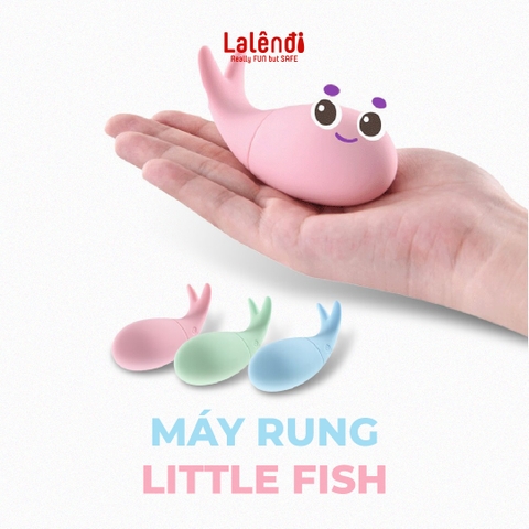 Mô hình cá Little Fish