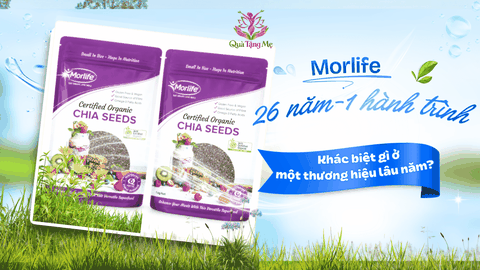 26 năm Morlife – Khác biệt gì ở một thương hiệu lâu năm?