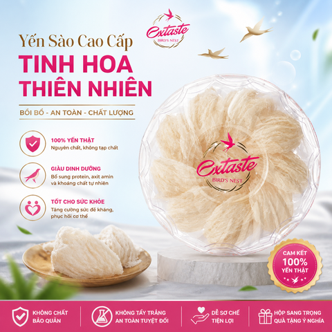 Yến vàng sạch lông extaste bird's nest thơm ngon bổ dưỡng hộp 100g