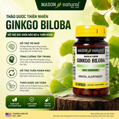 Mason Natural Ginkgo Biloba – Hỗ trợ tăng cường sức khỏe não bộ, cải thiện trí nhớ 60 viên