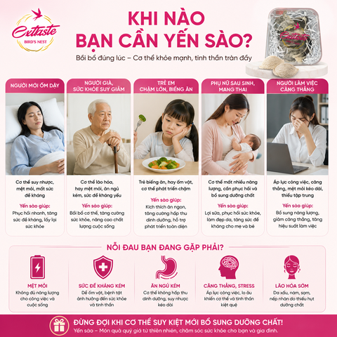 Yến sào thô Extaste Brid’s Nest 100gr thơm ngon bổ dưỡng