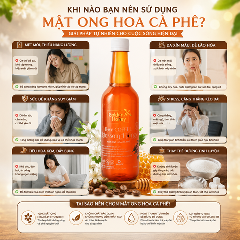 Mật ong hoa cà phê golden honey nguyên chất dinh dưỡng cho cả nhà chai 500ml