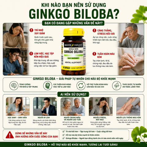 Mason Natural Ginkgo Biloba – Hỗ trợ tăng cường sức khỏe não bộ, cải thiện trí nhớ 60 viên