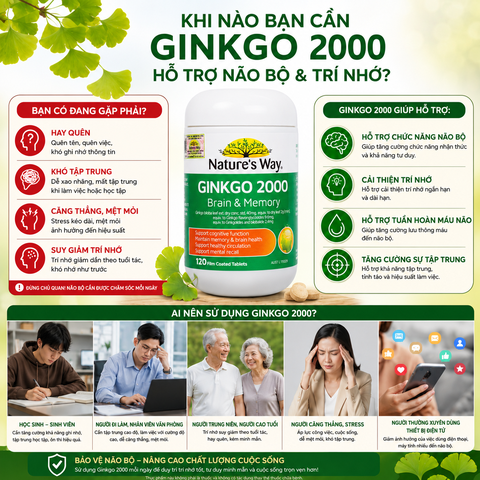 Bổ não ginkgo biloba nature's way 2000mg giúp tăng tuần hoàn máu não, giảm đau đầu 120 viên/hộp