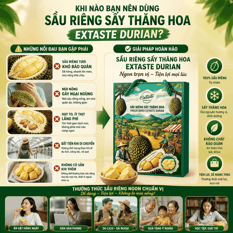Sầu riêng sấy thăng hoa Freeze Dried Extaste Durian 100g Ready to eat Snack
