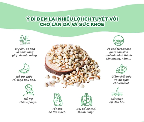 Trắng da DHC Adlay Extract hỗ trợ làn da sáng mịn 30 ngày 30 viên