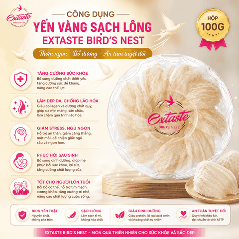 Yến vàng sạch lông extaste bird's nest thơm ngon bổ dưỡng hộp 100g