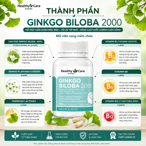 Bổ não ginkgo bibola 2000mg Healthy Care hỗ trợ tuần hoàn máu não hộp 100 viên