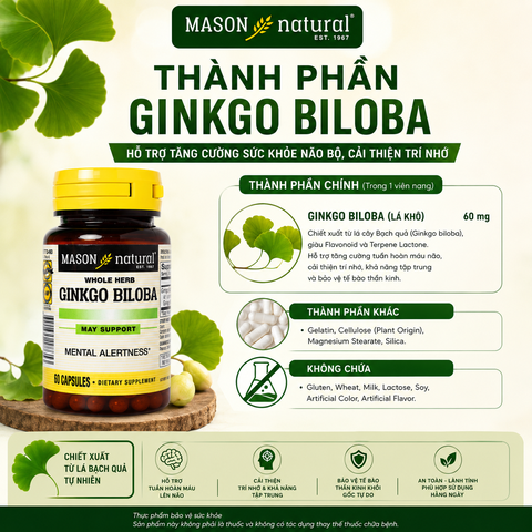 Mason Natural Ginkgo Biloba – Hỗ trợ tăng cường sức khỏe não bộ, cải thiện trí nhớ 60 viên