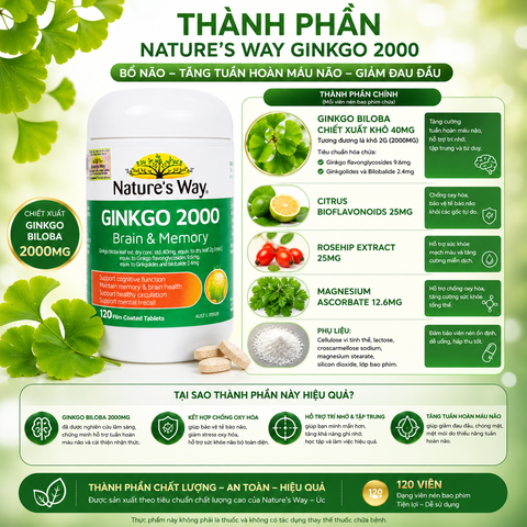 Bổ não ginkgo biloba nature's way 2000mg giúp tăng tuần hoàn máu não, giảm đau đầu 120 viên/hộp