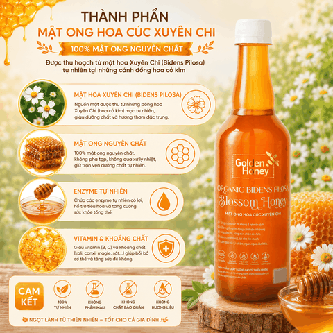 Mật ong rừng hoa xuyến chi golden honey bidens pilosa blossom honey - mật ong nguyên chất từ cánh đồng hoa cỏ kim 500ml